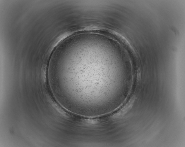 X0000112811409200908211134