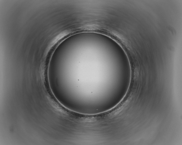 X0000112811410200908211134