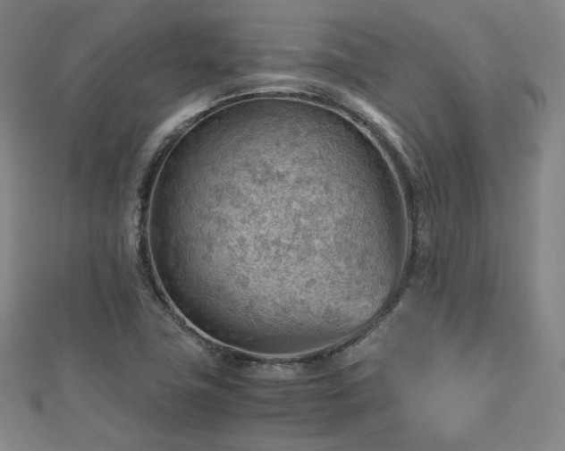 X0000112811411200908211134