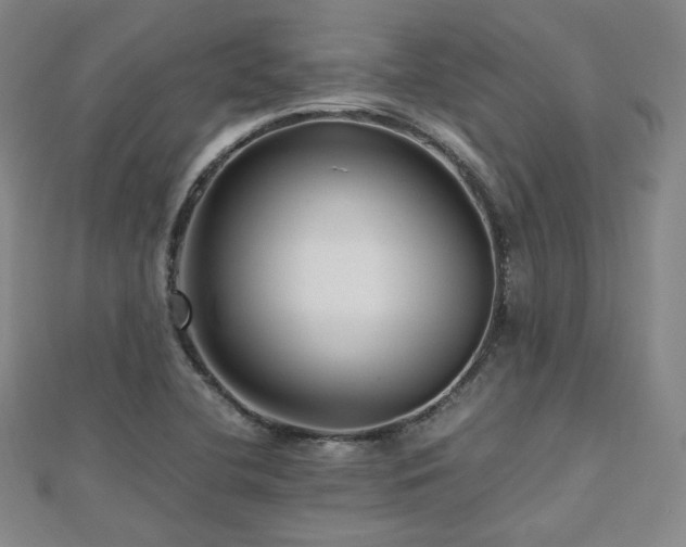 X0000112811412200908211134