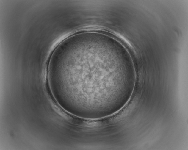 X0000112811413200908211134