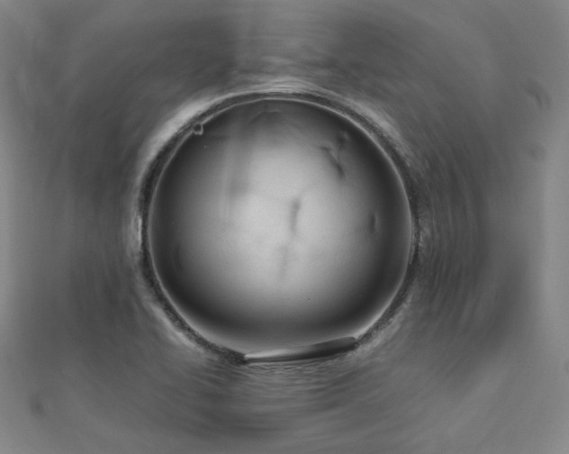 X0000112811414200908211134