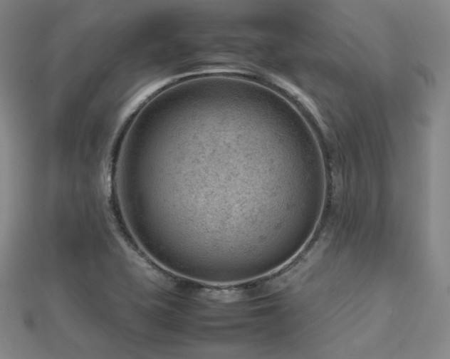 X0000112811415200908211134