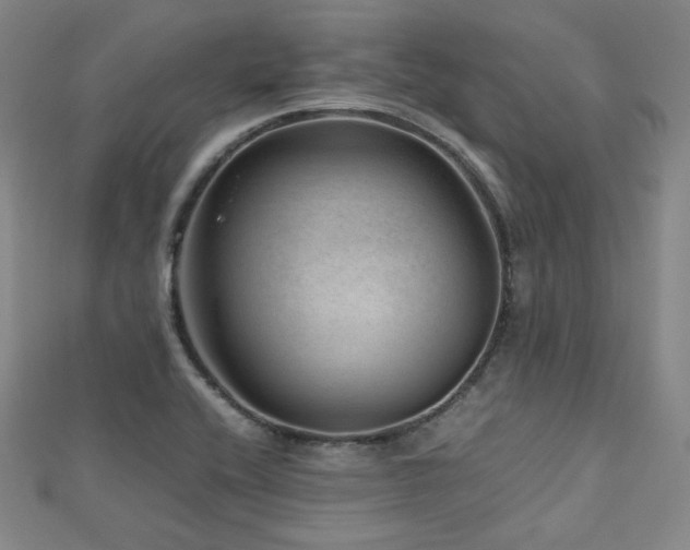 X0000112811416200908211134