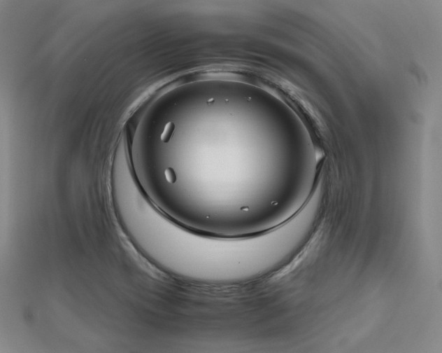 X0000112811417200908211134