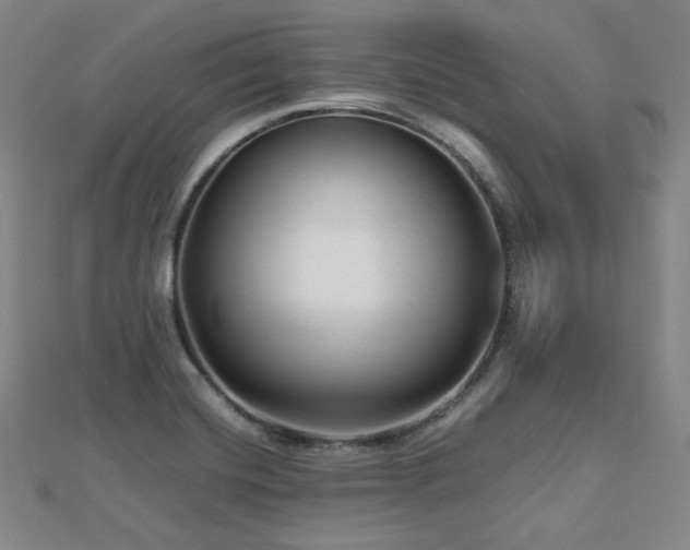 X0000112811420200908211134