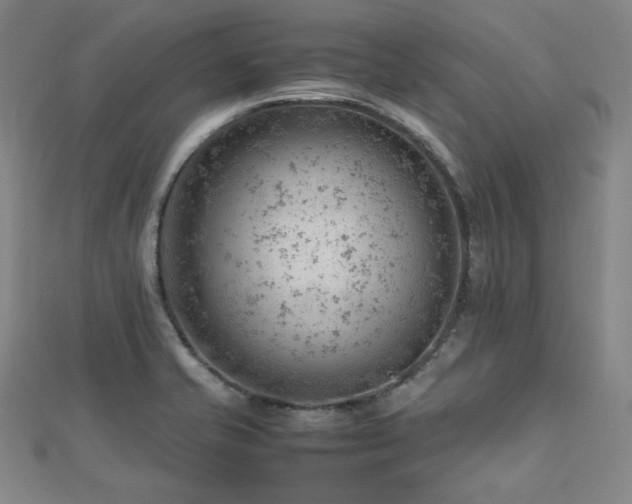 X0000112811421200908211134