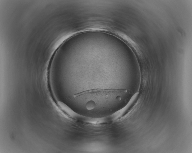 X0000112811423200908211134