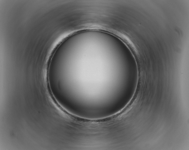 X0000112811424200908211134