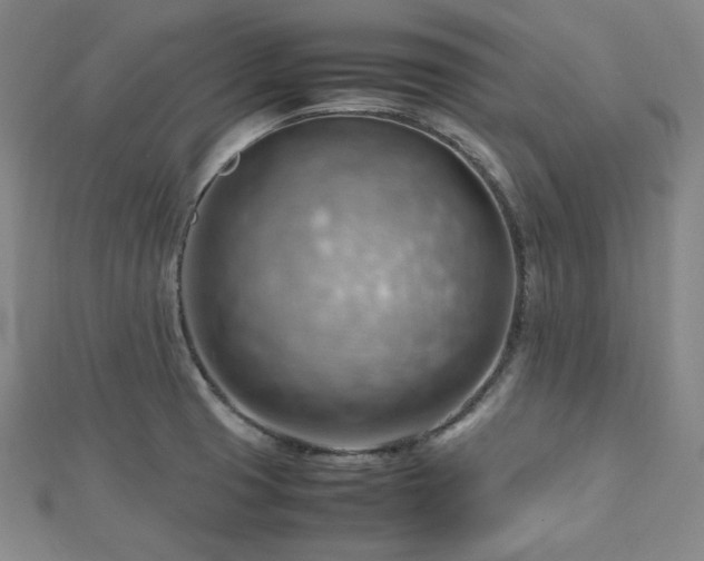 X0000112811425200908211134