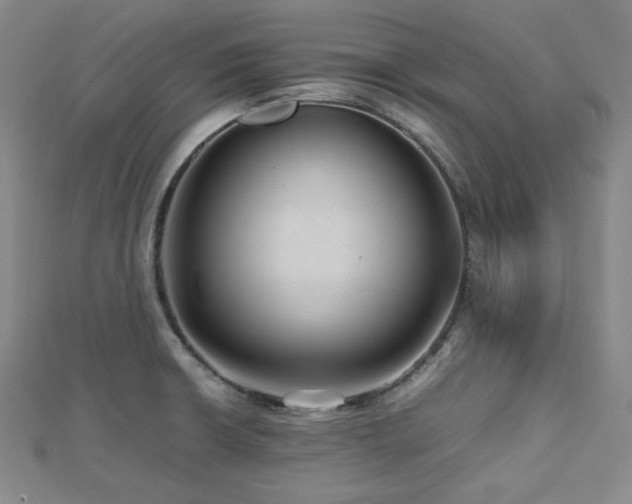 X0000112811426200908211134