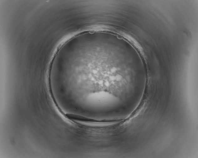 X0000112811429200908211134