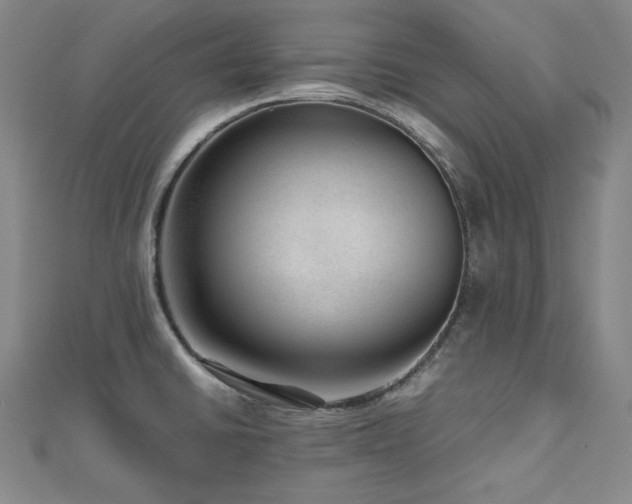X0000112811430200908211134