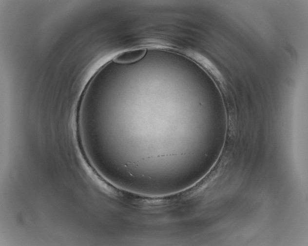 X0000112811431200908211134