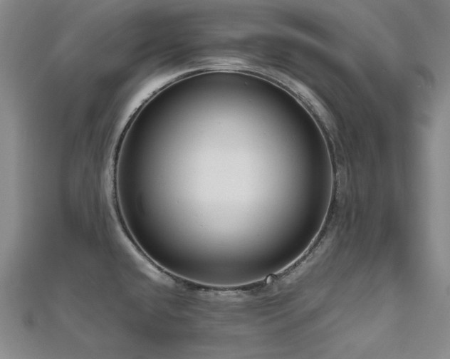 X0000112811432200908211134