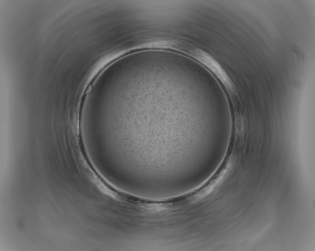 X0000112811436200908211134
