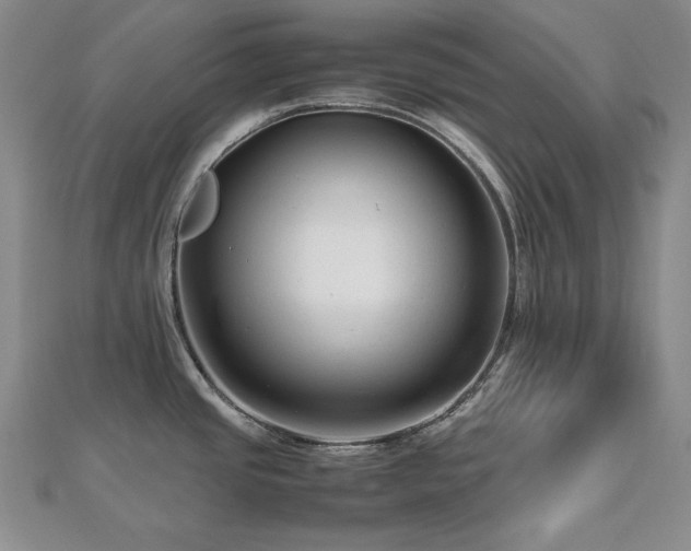X0000112811437200908211134