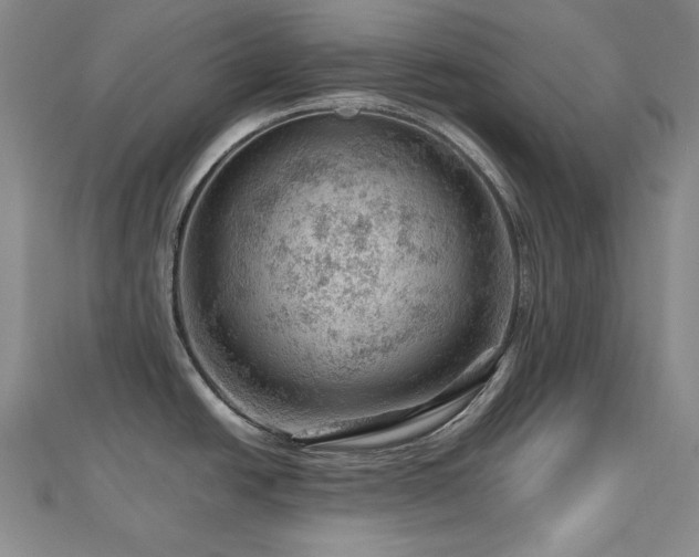 X0000112811438200908211134