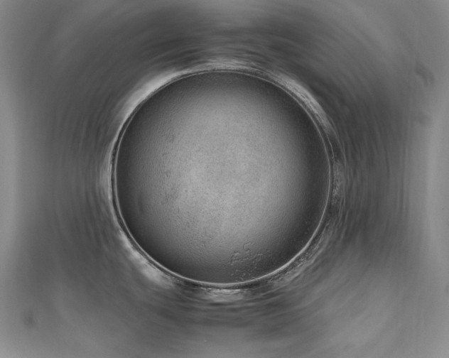 X0000112811439200908211134