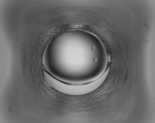 X0000112811441200908211134