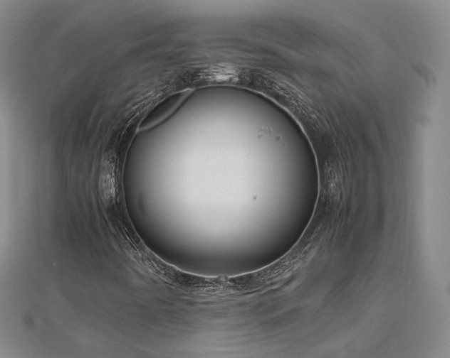 X0000112811442200908211134