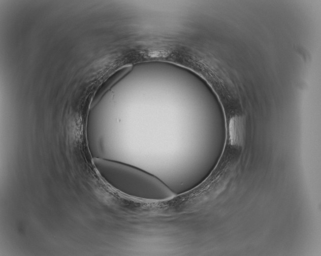 X0000112811443200908211134