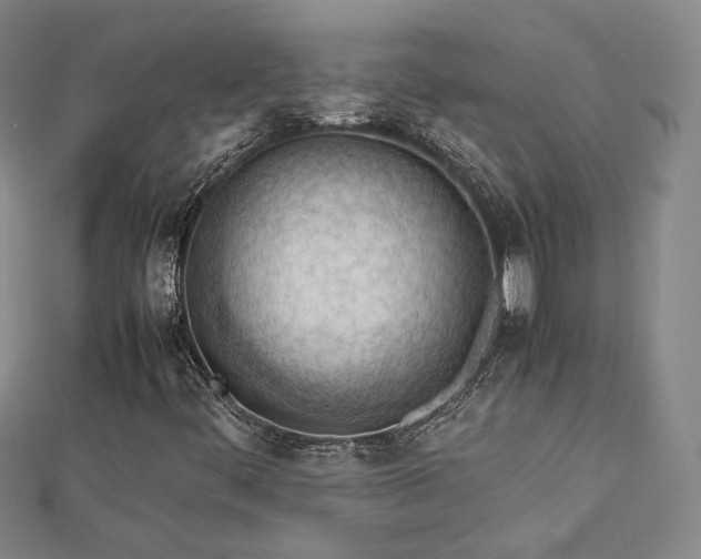 X0000112811444200908211134