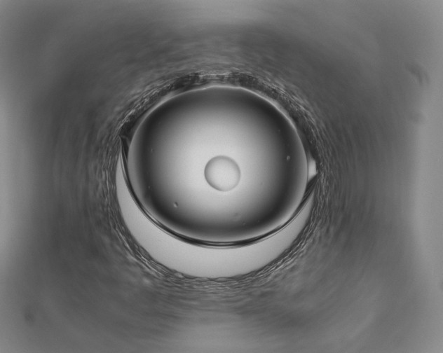X0000112811445200908211134