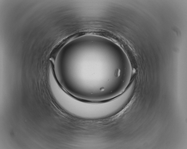 X0000112811449200908211134