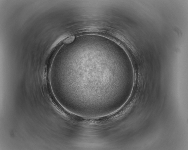 X0000112811450200908211134