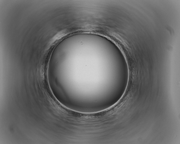 X0000112811451200908211134