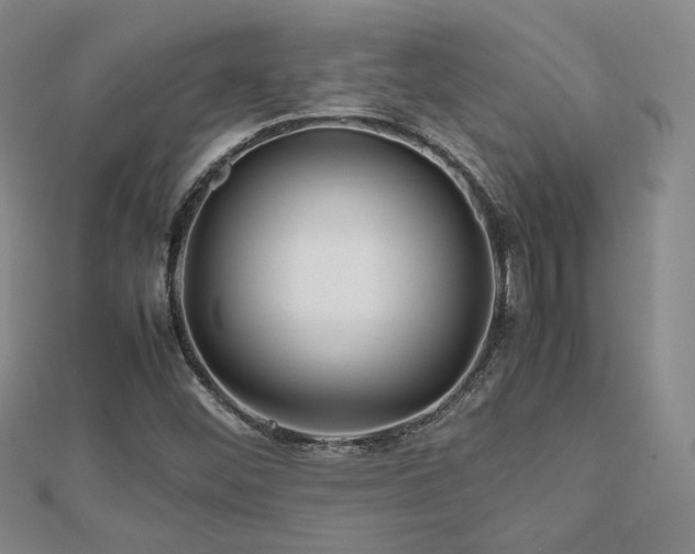 X0000112811452200908211134