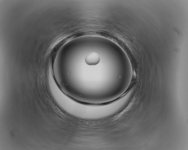 X0000112811453200908211134