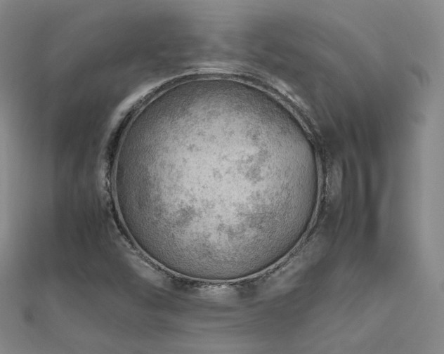 X0000112811454200908211134