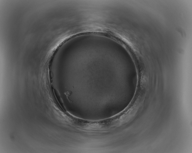 X0000112811455200908211134