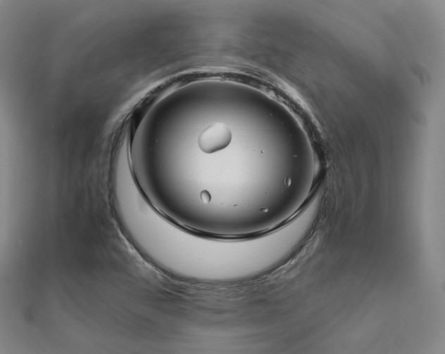 X0000112811456200908211134