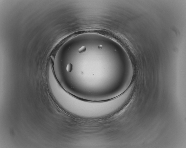 X0000112811457200908211133