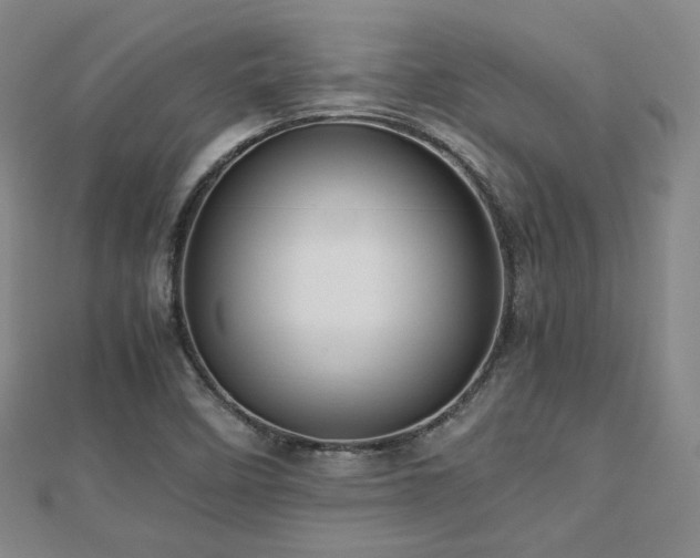 X0000112811458200908211133