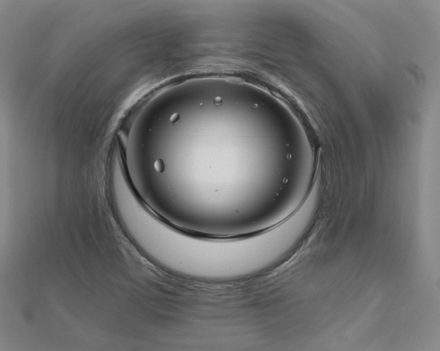 X0000112811459200908211133