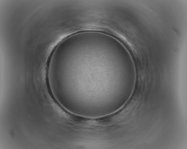 X0000112811463200908211133
