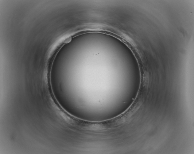 X0000112811464200908211133