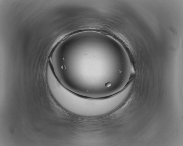 X0000112811465200908211133