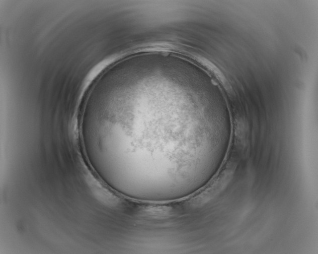X0000112811466200908211133