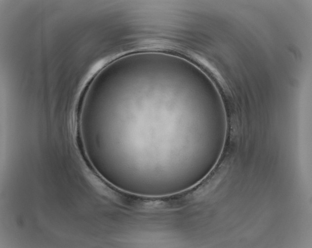 X0000112811467200908211133
