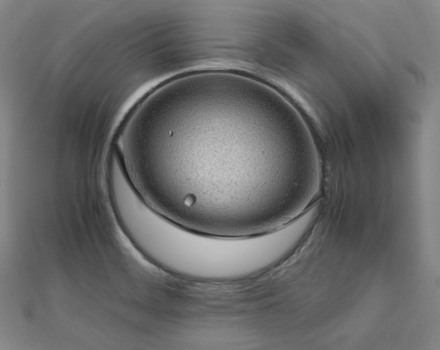 X0000112811468200908211133