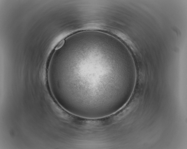 X0000112811469200908211133
