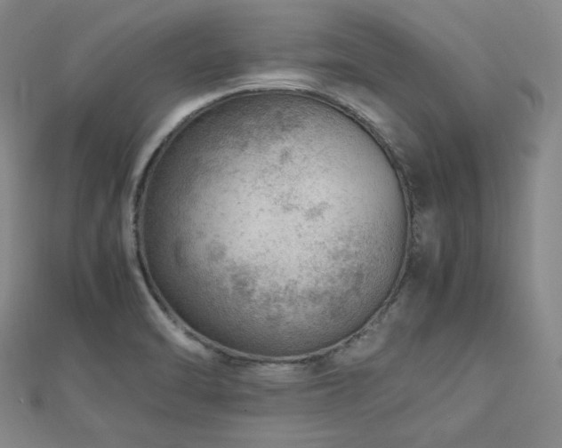 X0000112811470200908211133