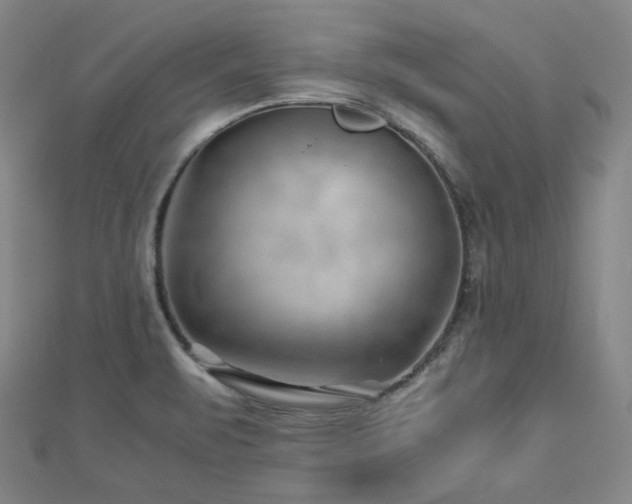 X0000112811471200908211133