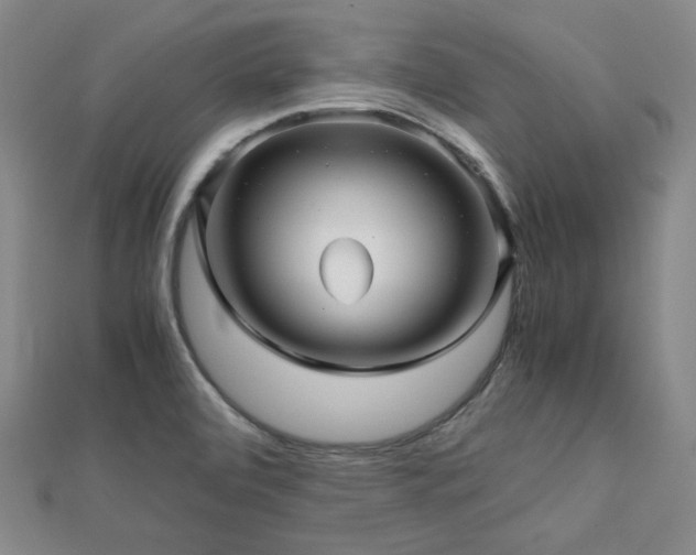 X0000112811472200908211133