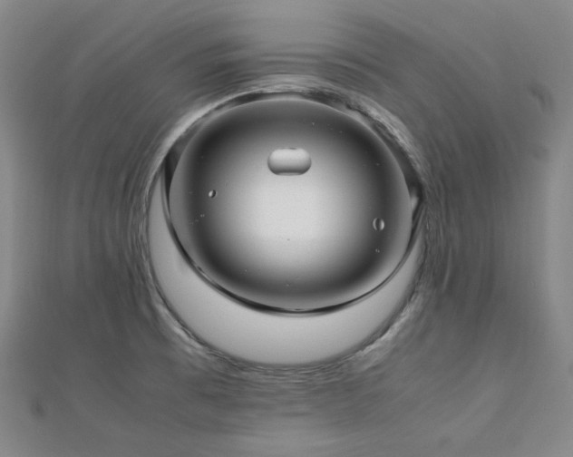 X0000112811473200908211133